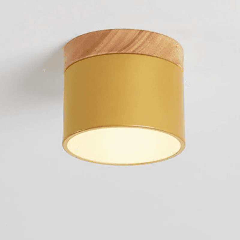 Skandynawska Macaronowa Jednolita Kolorowa Lampa LED na Sufit 6